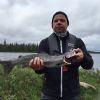 Visitmuonio